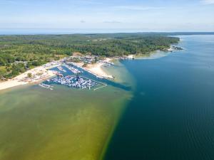 Appartements Appartement T2 avec piscine a Biscarrosse Bourg, proche plages du lac et ocean, 4 pers, centre-ville - FR-1-319-454 : Appartement (4 Adultes)