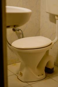 Mild Life Hostel Udaipur