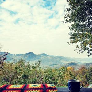 Apusenia - darul naturii