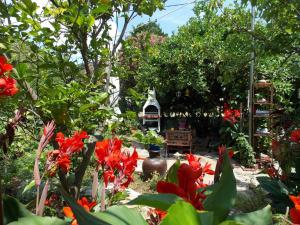 Stamatia's Garden Skopelos Greece