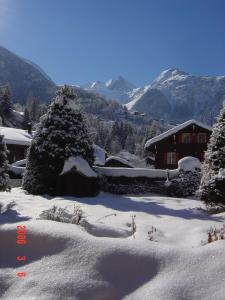 Апартамент Aparthotel Montana Грехен Швейцария