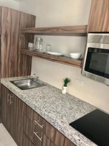 Departamento Zona Dorada H2