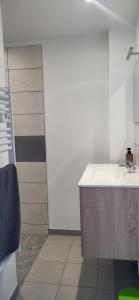 Appartements Magnifique appartement le marronnier : photos des chambres