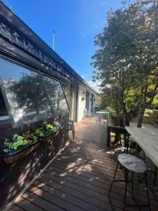 Young woods - Lake Tarawera