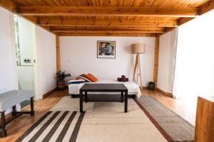 Shiny Alamos Super Family Studio