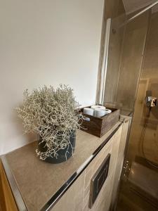 Stadtvilla in Leipzig 7 Personen 3 Schlafzimmer 2 Bäder Garten und Terrasse zentral gelegen Messe Innenstadt Seen