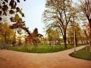 Cool People Apartment