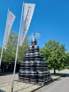 BIRKENHOF GOLS - B & B - Wohlfühl Hotel mit Wochenend-Restaurant - 弗劳恩基兴