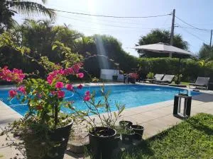 Appartement Artistique de Boucan Canot - 布康卡努