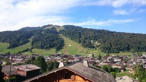 Chalets Charming 5 bedroom Chalet in Morzine - Sleeps 13 : Chalet