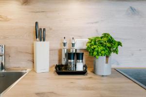 Küsten Suite de See - Suite 3 seitliche Deichlage, Terrasse, 53qm