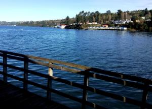Cabañas Palafitos Los Pescadores