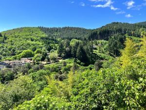 La Roseraie - Gite avec piscine en Cévennes