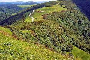 Chalets Chalet terrain cloture, bien place, 2 chambres : photos des chambres