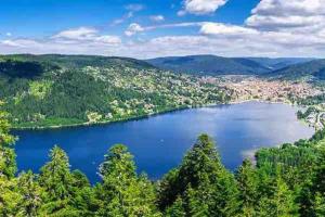 Chalets Chalet terrain cloture, bien place, 2 chambres : photos des chambres