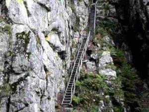 Chalets Chalet terrain cloture, bien place, 2 chambres : photos des chambres