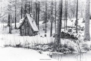 Chalets Chalet terrain cloture, bien place, 2 chambres : photos des chambres