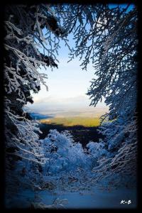 Chalets Chalet terrain cloture, bien place, 2 chambres : photos des chambres