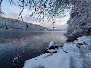 Chalets Chalet terrain cloture, bien place, 2 chambres : photos des chambres