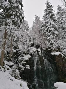 Chalets Chalet terrain cloture, bien place, 2 chambres : photos des chambres