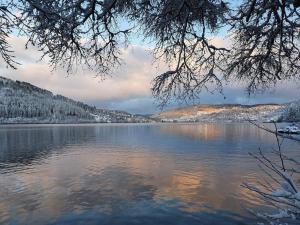 Chalets Chalet terrain cloture, bien place, 2 chambres : photos des chambres