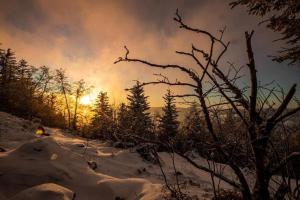 Chalets Chalet terrain cloture, bien place, 2 chambres : photos des chambres