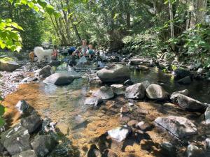 Chalets Chalet terrain cloture, bien place, 2 chambres : photos des chambres