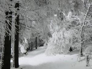 Chalets Chalet terrain cloture, bien place, 2 chambres : photos des chambres