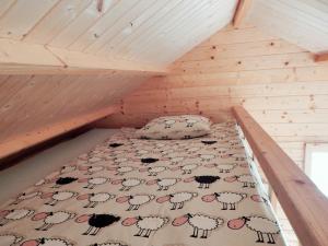 Haaviku Nature Lodge