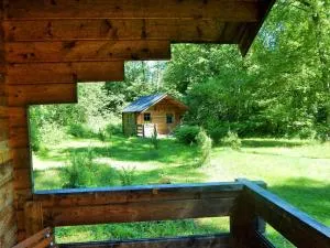 Haaviku Nature Lodge - Ama Haaviku Nature Lodge - Ama