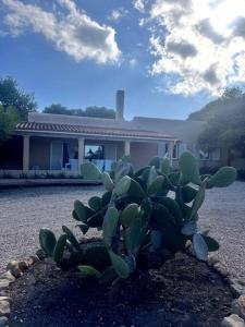 Casa Italia Vivienda Turistica ET6132