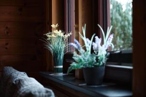 Holzblockhaus, Eifel