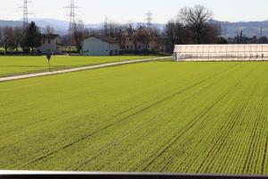 *** Splendida casa di campagna