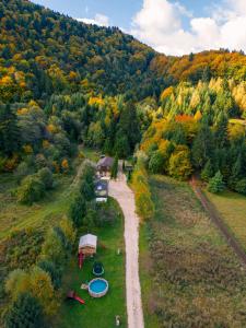 Căsuța dintre brazi