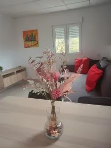 Casa Celia - Cazadores