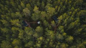 ÖÖD Hötels Lohusalu LEIDA & ENNO