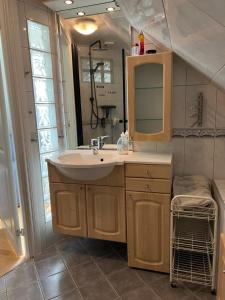 Cozy Attic Apartment in Salängen