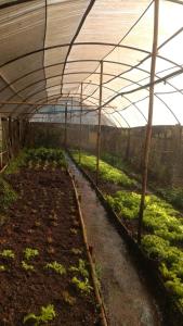 Pousada Sítio Santa Justa