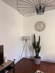 Appartements Chez Louisa-Maria : photos des chambres