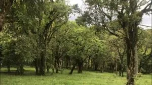 Chácara São Judas Tadeu - 里奥内格里纽