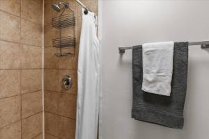 Unit 7: Updated downtown 1 bedroom!