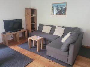 Appartements 4-star apartments in Chamonix centre with free private parking : photos des chambres