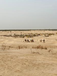 Camp Dunes Insolites Sabria