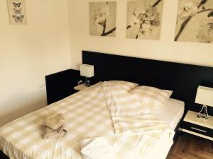 Park Srce Apartments