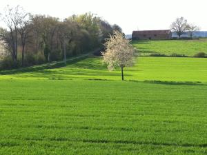 Maisons de vacances Longere sarthoise renovee, a 20 min du Mans, 4 chambres, poele a granules, parking prive - FR-1-410-376 : photos des chambres