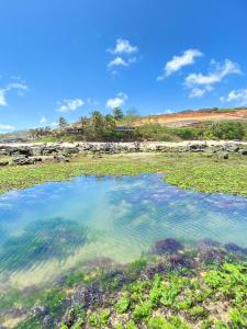 Pousada Paraíso das Tartarugas
