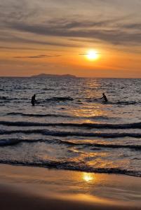 Paradise Lost Bungalows