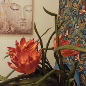 Stay in Athens - muses