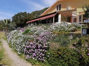 Il Lentischio - Rosmarino - Capo Sperone