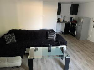 Appartements Jolie 2 pieces Nancy centre : Appartement 1 Chambre